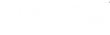 Flaunt Art